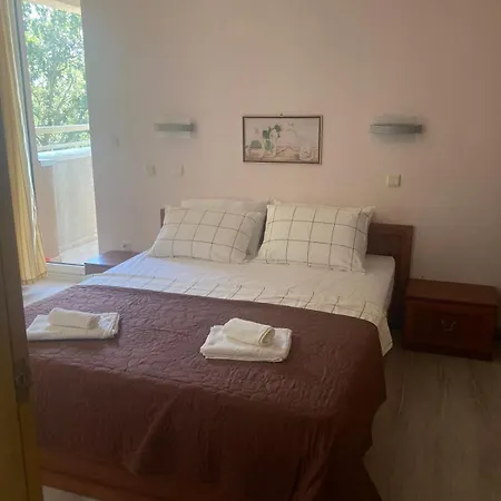 Apartment Milushevi *